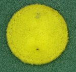 Kompanimärke m/37 i tyg 28 mm för Furir som var instruktörer på olika kompanier inom regementet, gult utan siffror/bokstäver, skärmmössa m/39 1941 Infanteriet